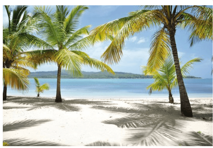 iEnvy Travel - www.theweddingring.ca - listings -