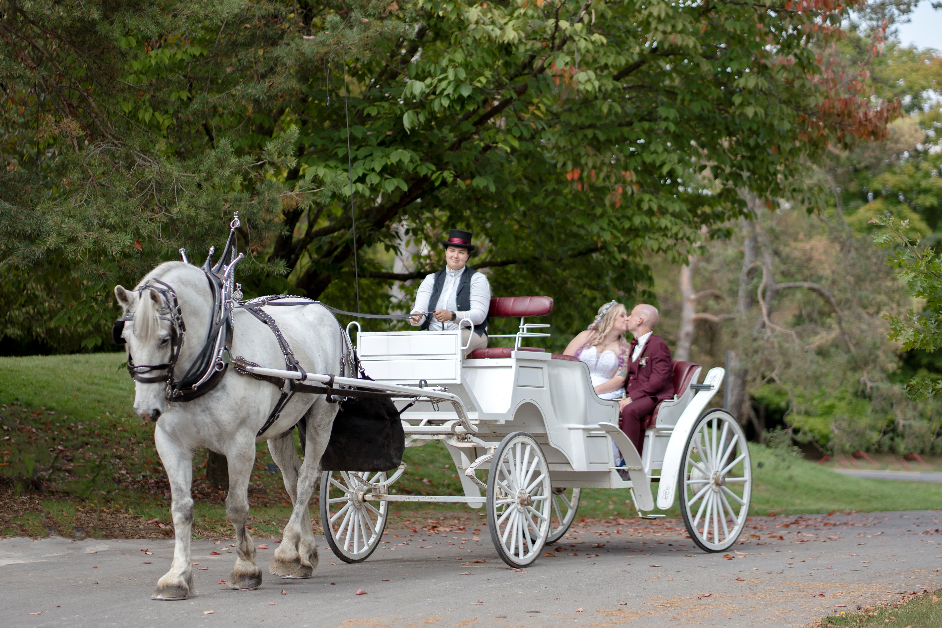 Guelph Arboretum Wedding, Simply Wedding Photography