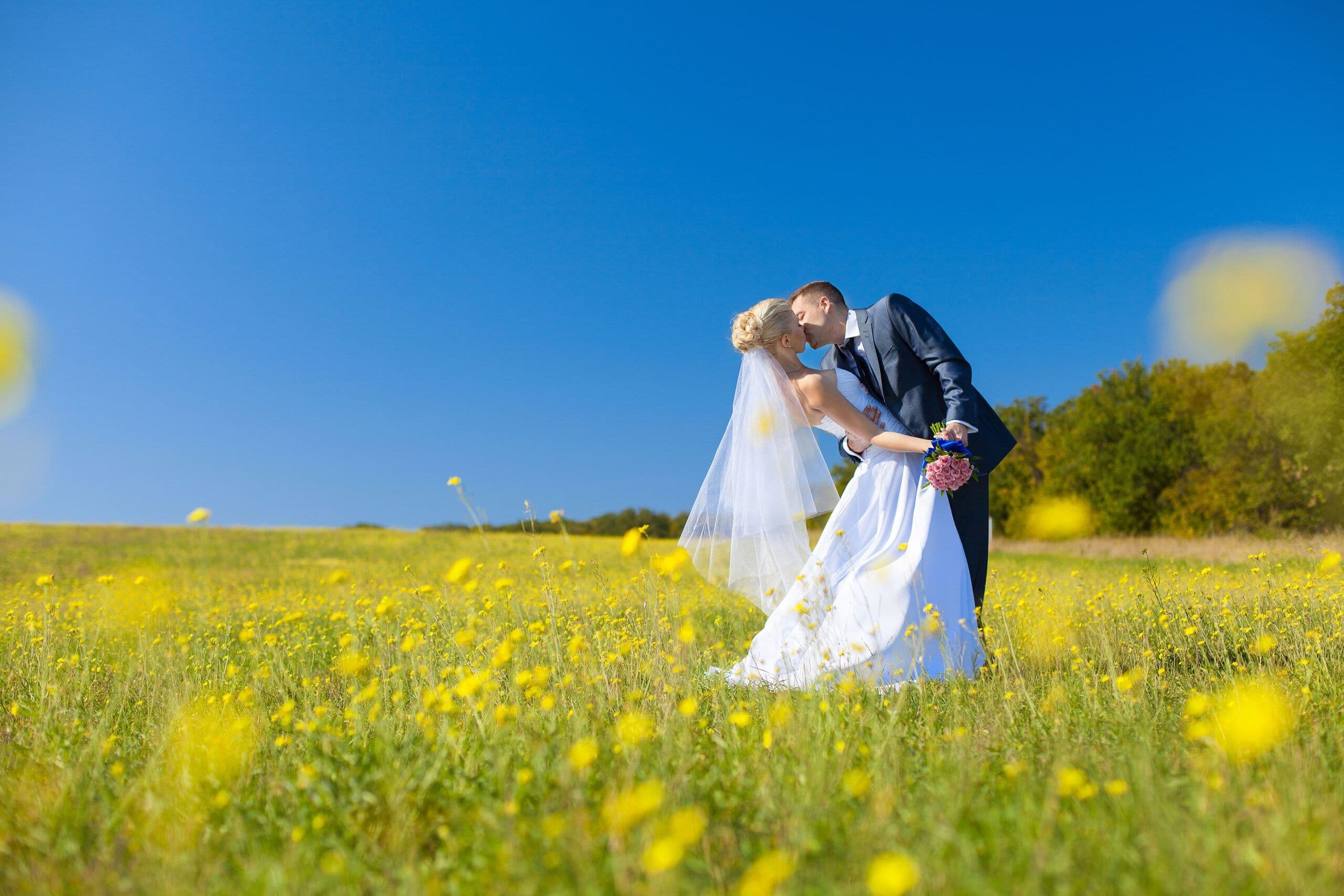 updatedtwr - Dream Wedding Officiants - www.theweddingring.ca - twr listings