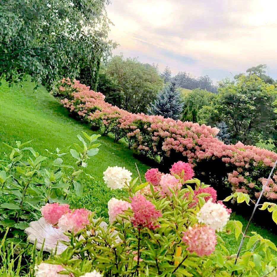Galt Guest House - www.theweddingring.ca - listings -