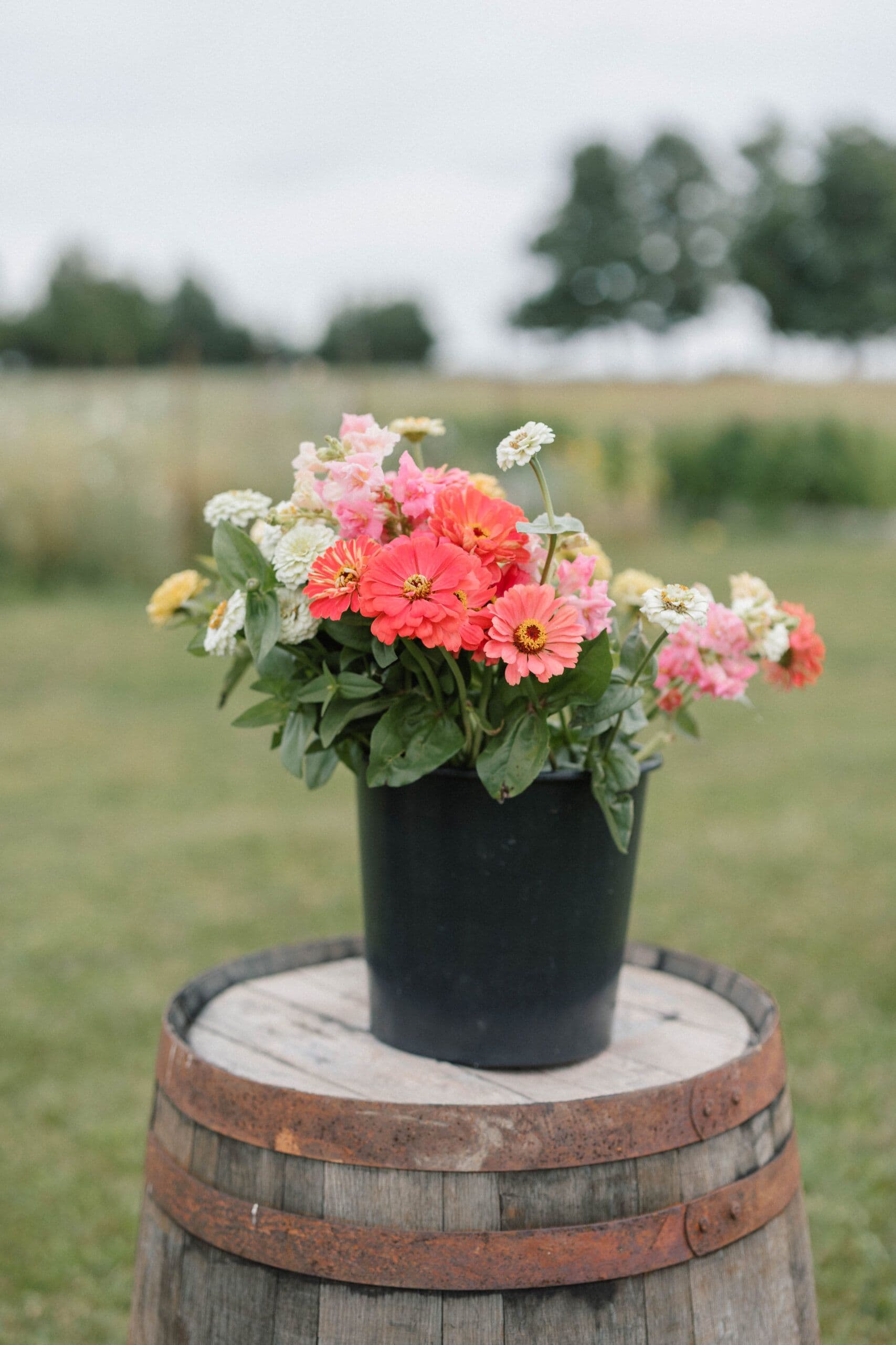 Mapleton Acres Flower Farm - www.theweddingring.ca - listings -
