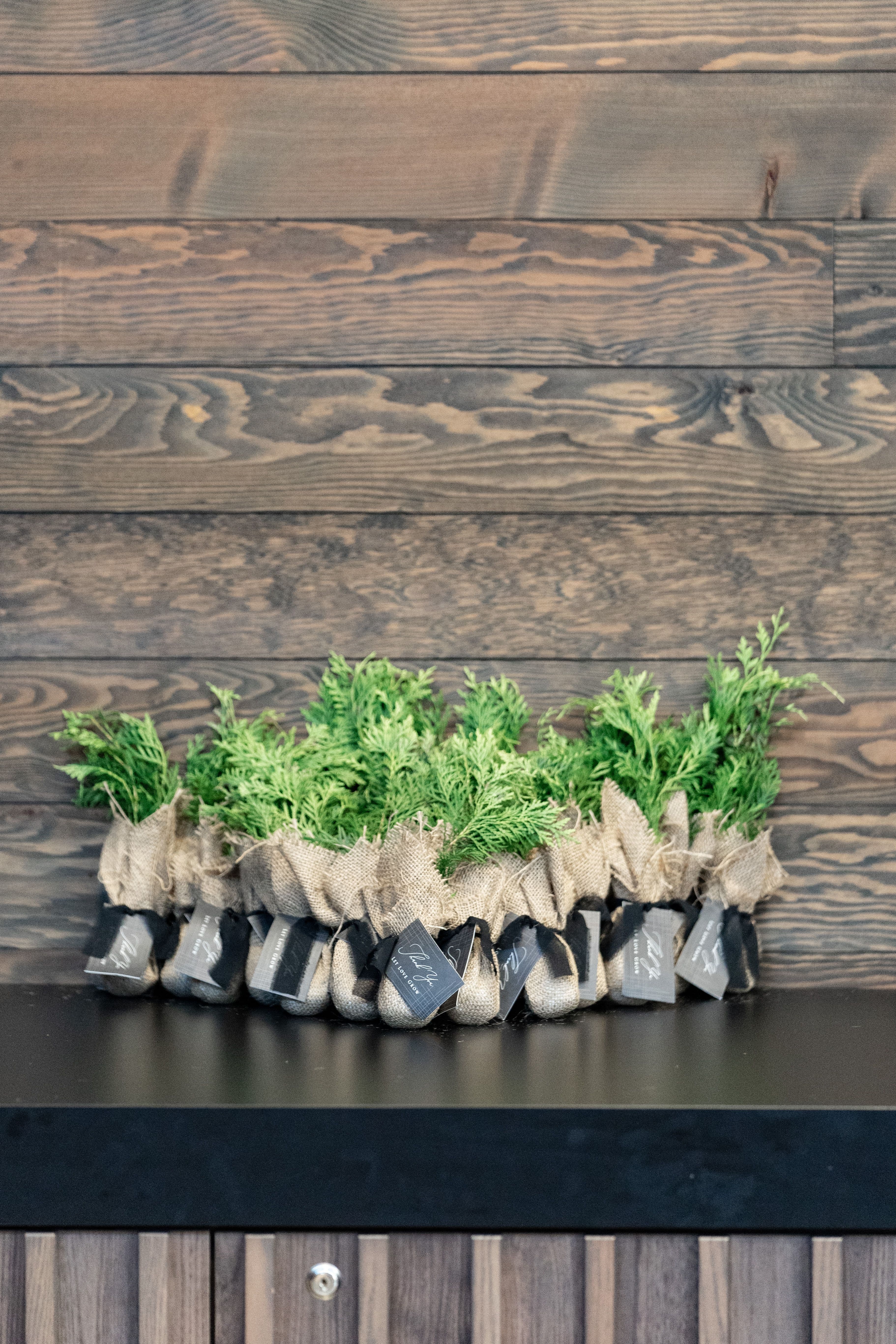 The Wedding Ring, Anne Edgar Photography, Tapestry Hall, Kitchener Waterloo wedding photographer, Kitchener wedding venue, Waterloo wedding venue, Cambridge wedding venue