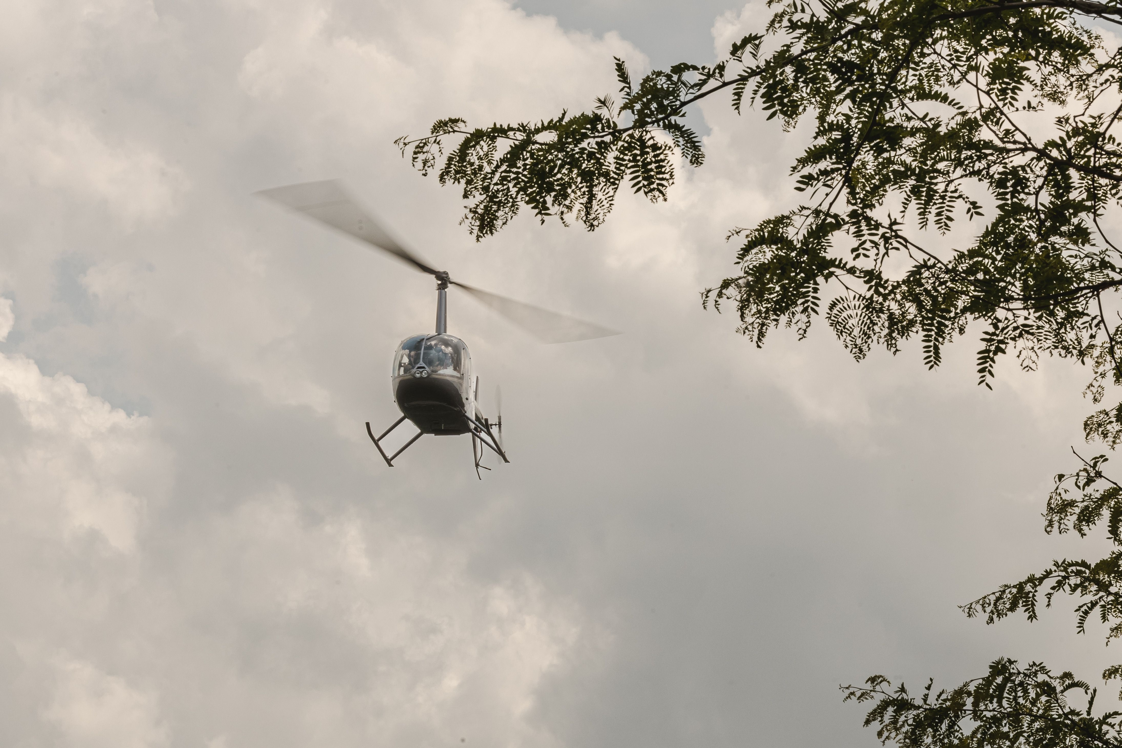 Erin Estate Grand Opening