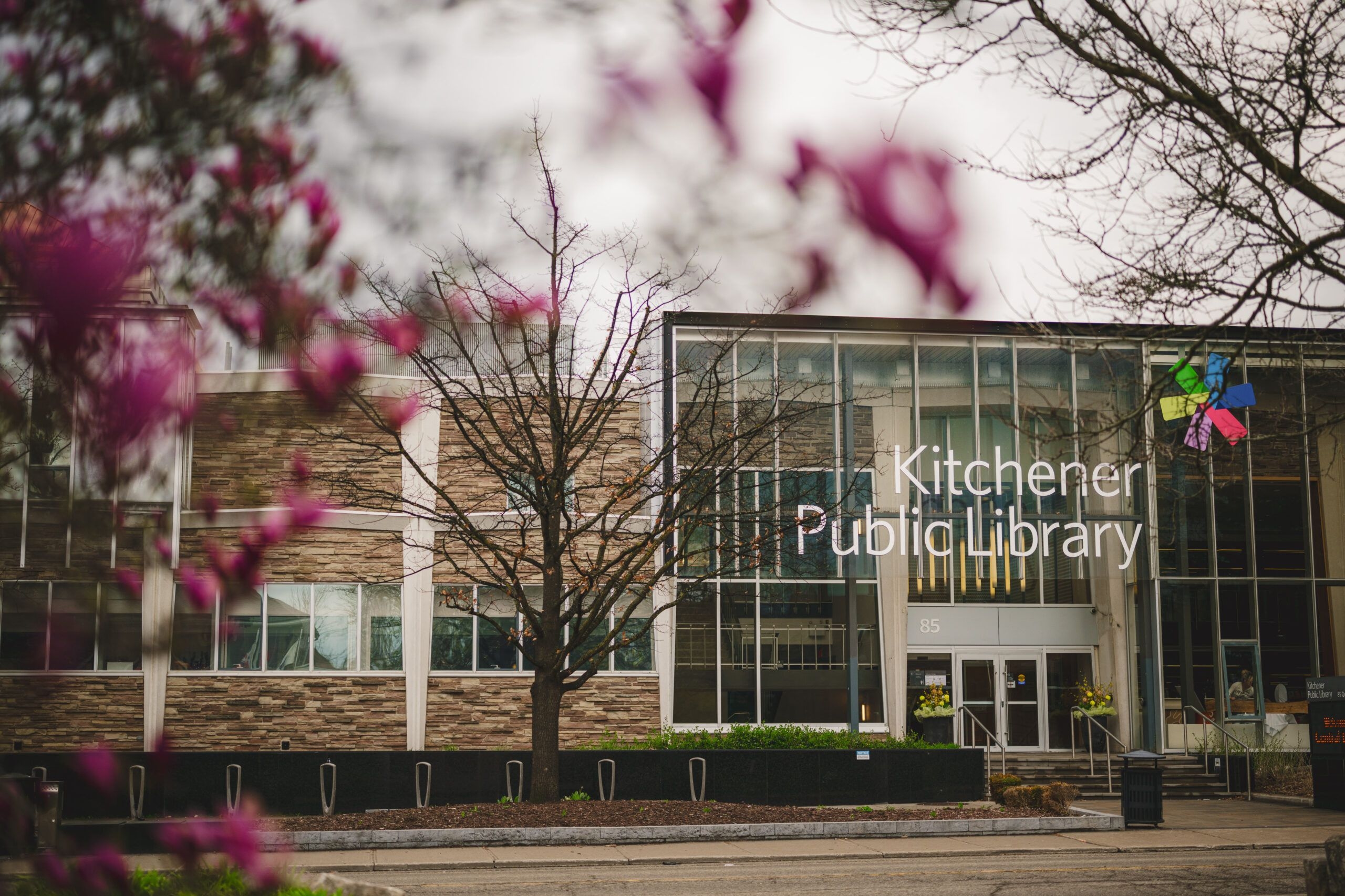 The Wedding Ring - theweddingring.ca