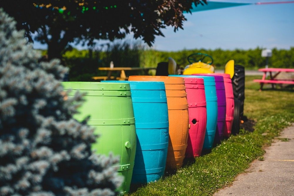 The Wedding Ring - theweddingring.ca