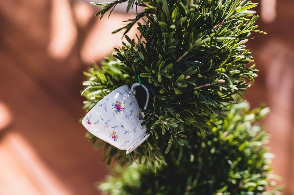 The Wedding Ring - theweddingring.ca