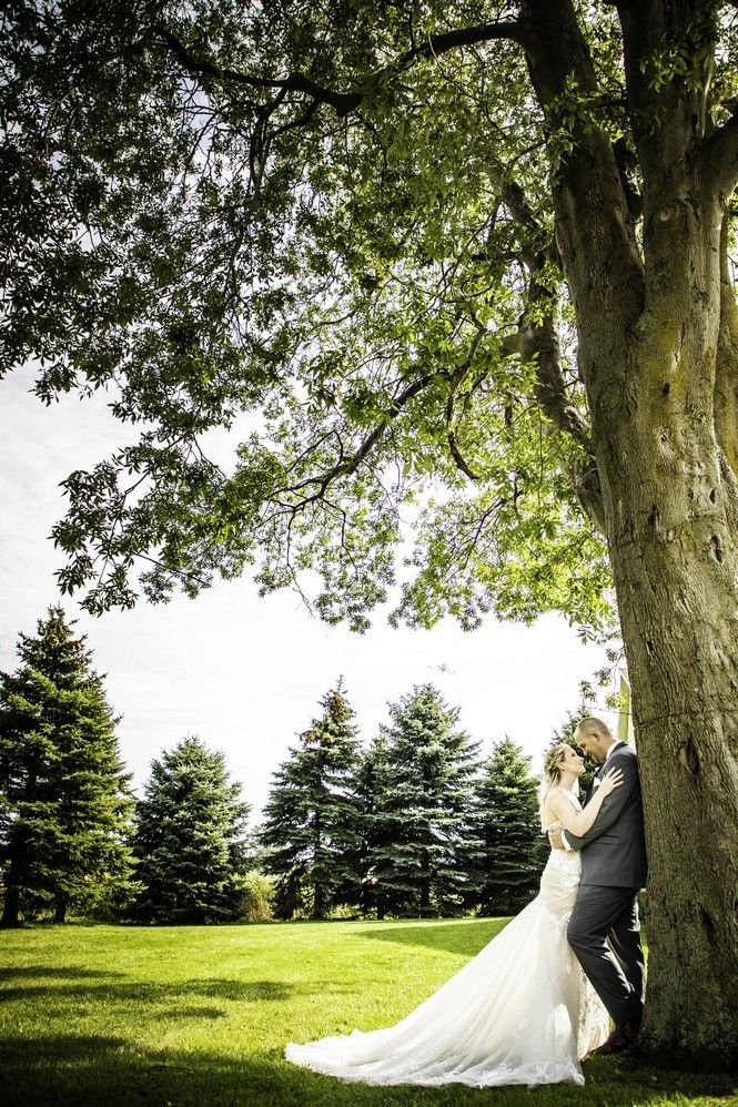 The Wedding Ring - theweddingring.ca