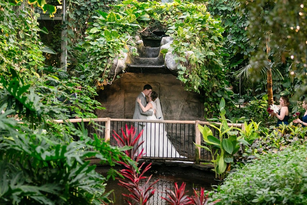 Photographer: Jals Photography | Venue: Cambridge Butterfly Conservatory
