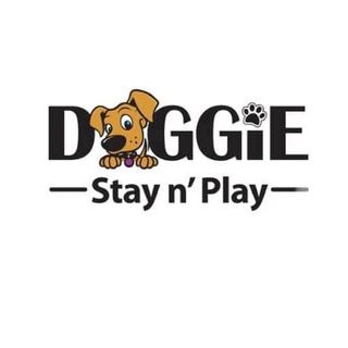 Doggie Stay & Play