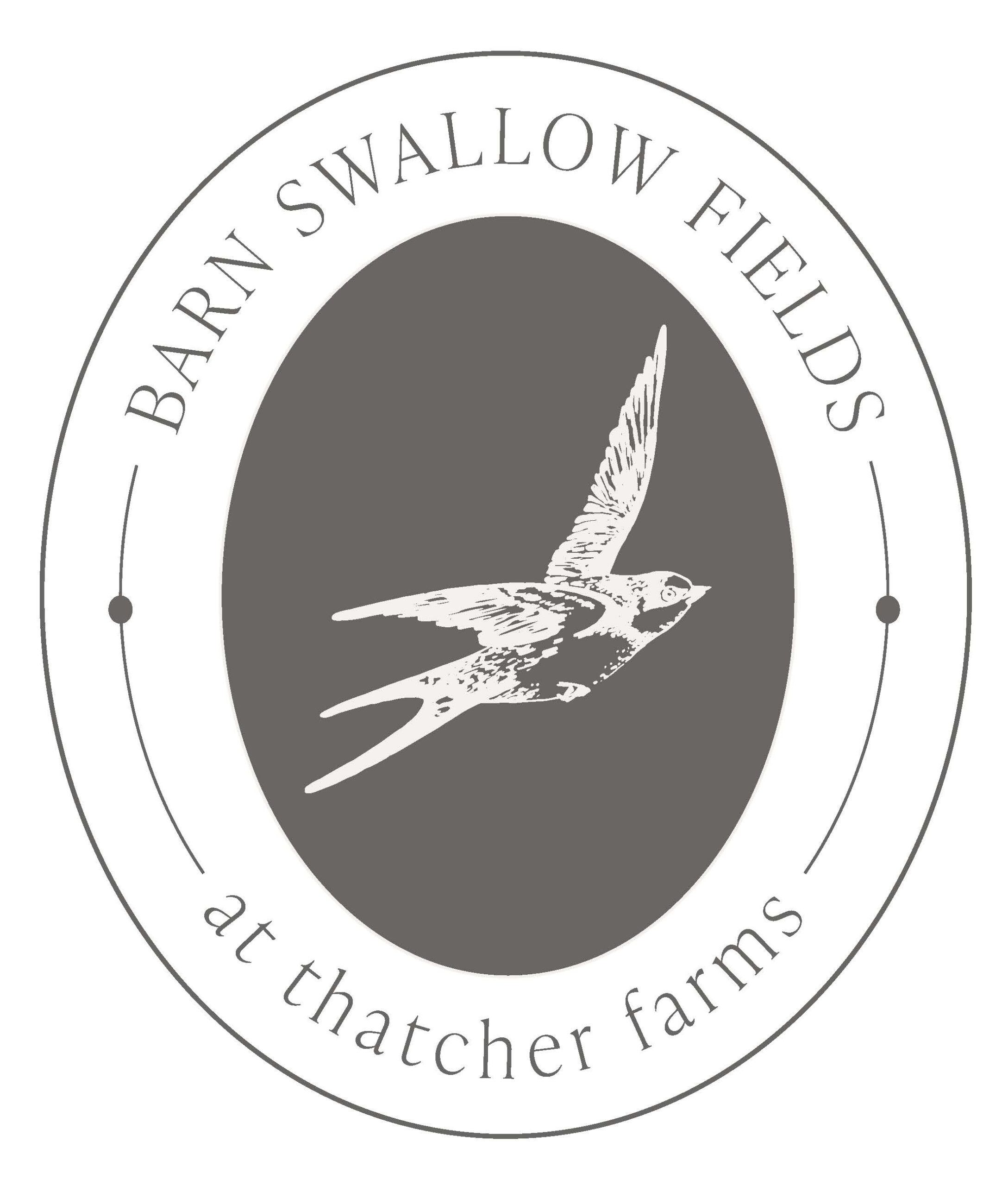 Barn Swallow Fields